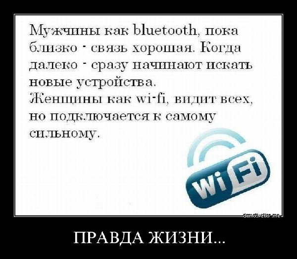 qoltllh0uxr3.jpg