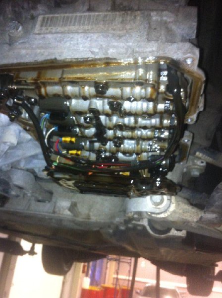 IMG_0589.jpg (179.64 Кб) Просмотров: 597 IMG_0589.jpg