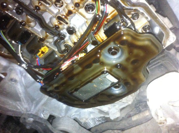 IMG_0592.jpg (119.78 Кб) Просмотров: 729 IMG_0592.jpg