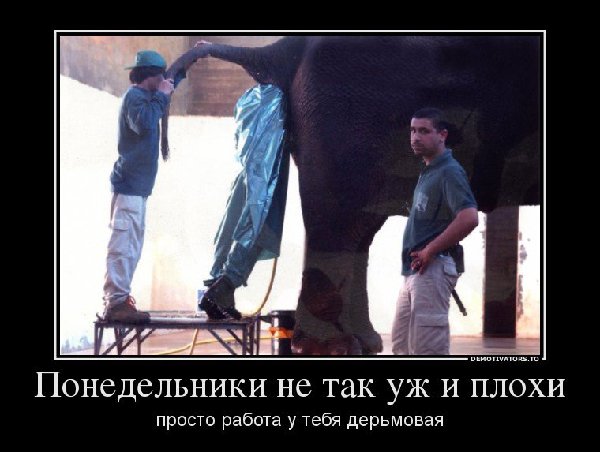7AkvSXqOzPQ.jpg