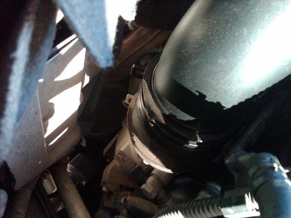 IMG00359-20130415-0903.jpg