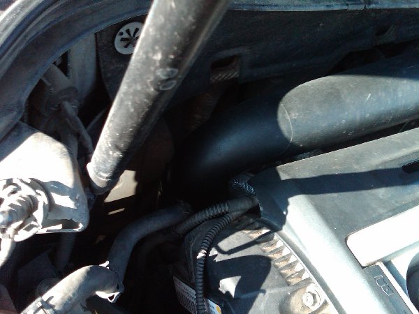 IMG00360-20130415-0903.jpg