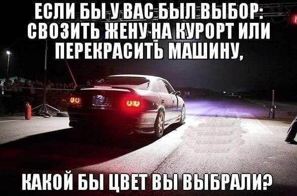 3631506.jpg
