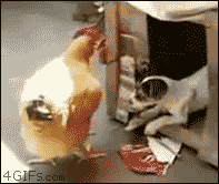 kuritsa.gif
