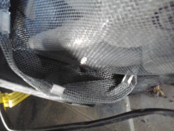 2013-05-24 13.06.47.jpg