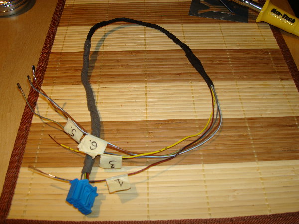 harness.jpg