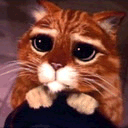 Котик.gif