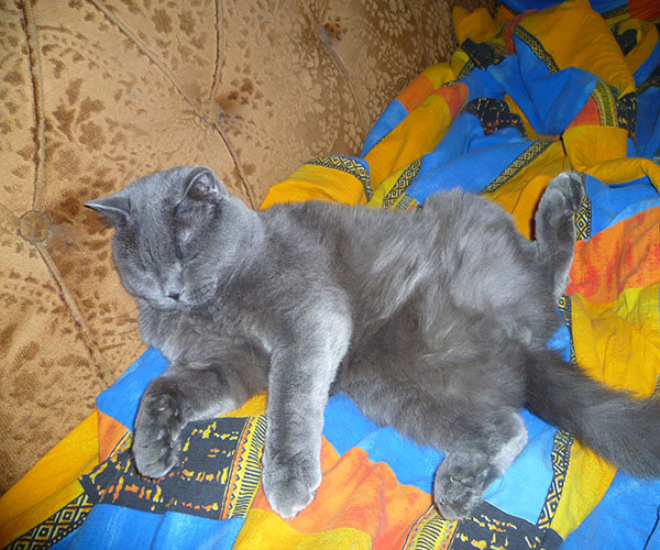 P1010331.JPG