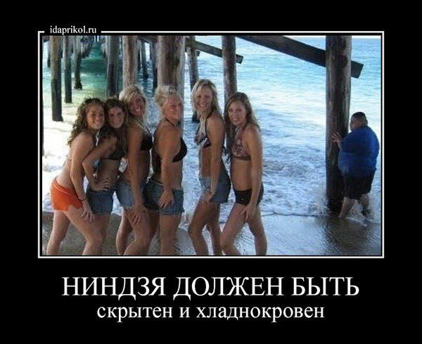 ImageUploadedByTapatalk1373885828.067599.jpg