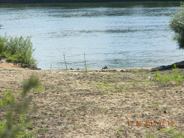 DSCN3846.JPG