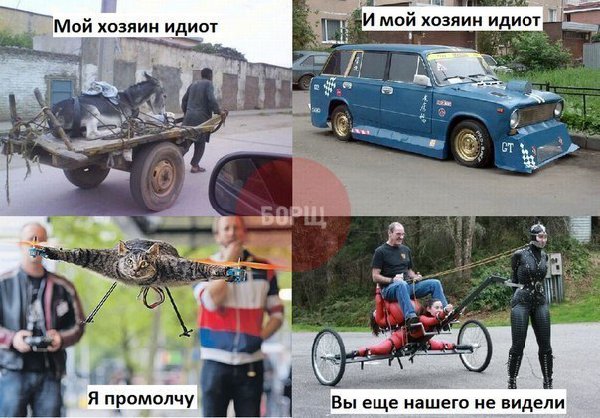 юмор.jpg