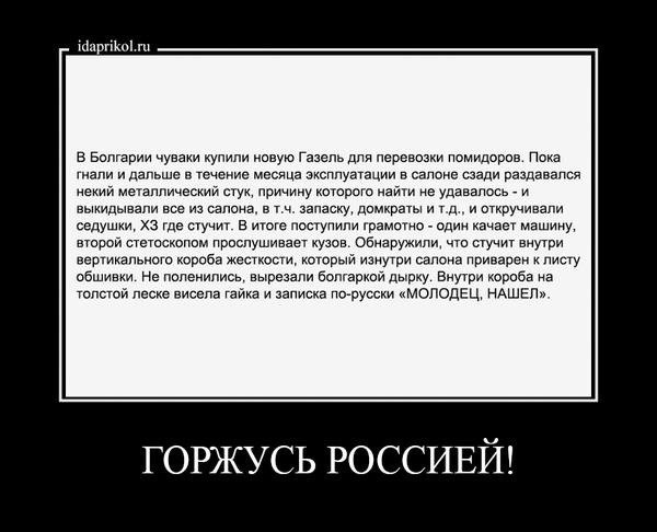 ImageUploadedByTapatalkHD1379232779.576951.jpg
