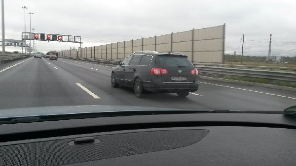 муха.jpg