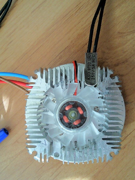 SNC00894r.jpg