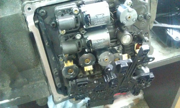 IMAG0587.jpg