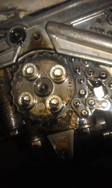 IMAG0738.jpg