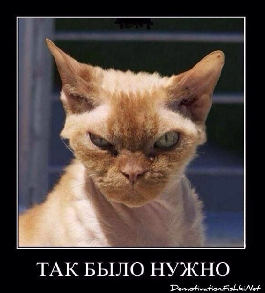 ImageUploadedByTapatalk1383845798.338479.jpg