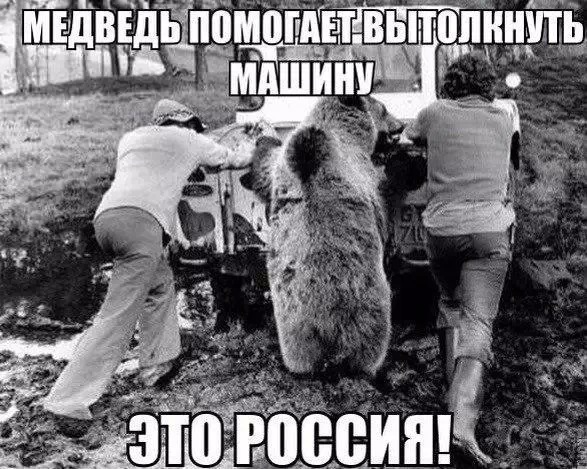 IMG_1024.JPG