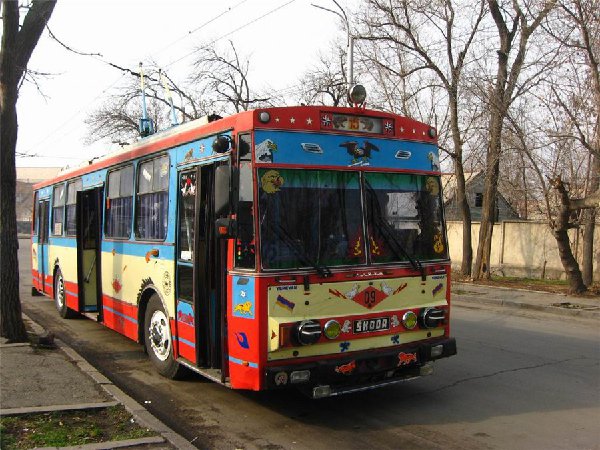 58ef40b4d264.jpg