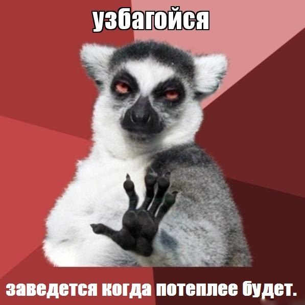 заведется.jpg