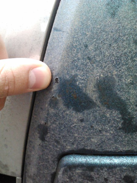 IMG191.jpg