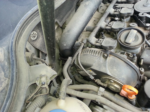 20140421_170524[1].jpg