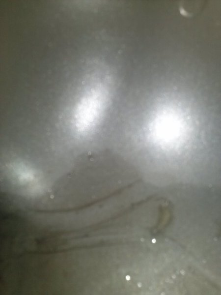 CAM01731.jpg