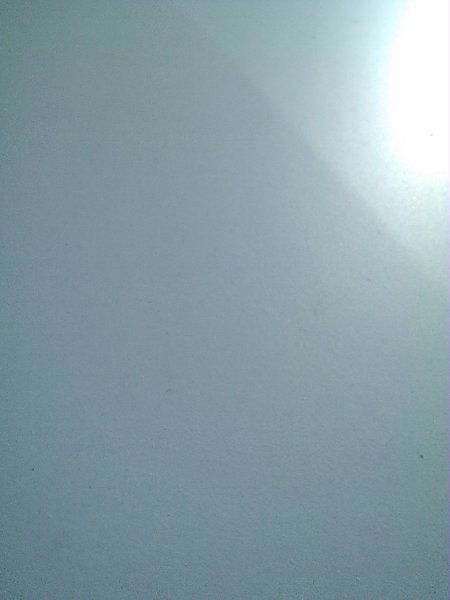IMG244.jpg