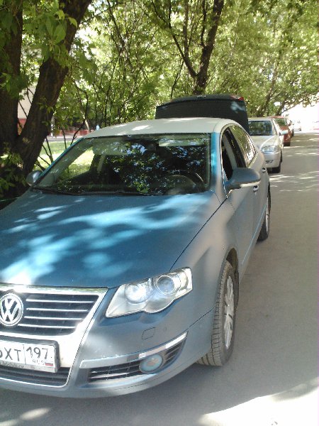 IMG247.jpg