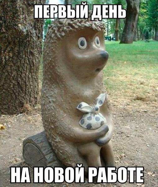 493ec50c-2497-11e4-b00d-12313b0ef1fc-large.jpeg