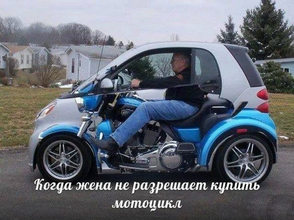 смамото.jpg