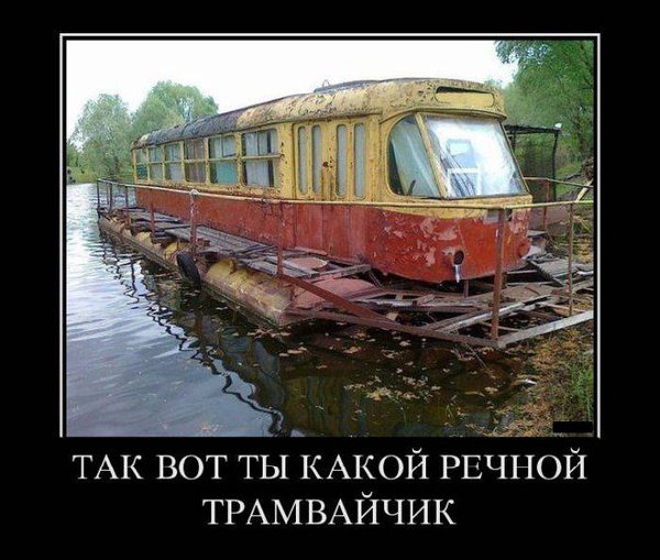 z5gOA0dLhEo.jpg