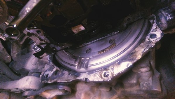 IMAG0649_1.jpg