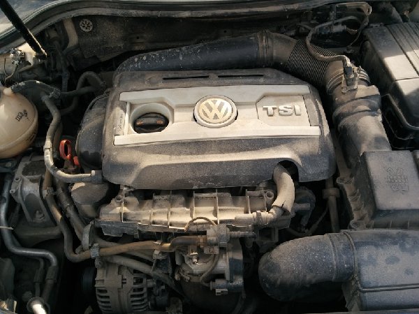 9c4a282s-960.jpg