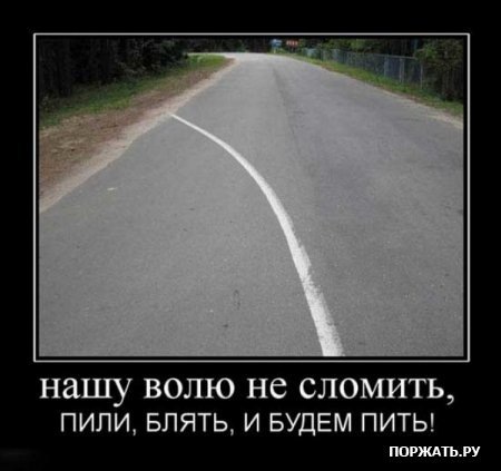 x_26510df9.jpg