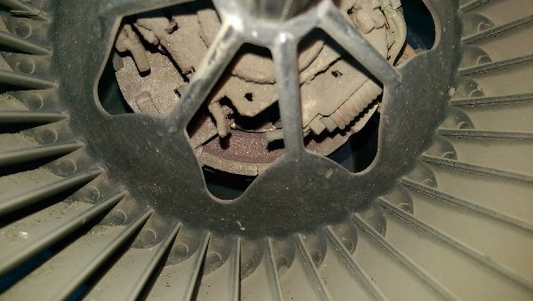 IMAG1055.jpg