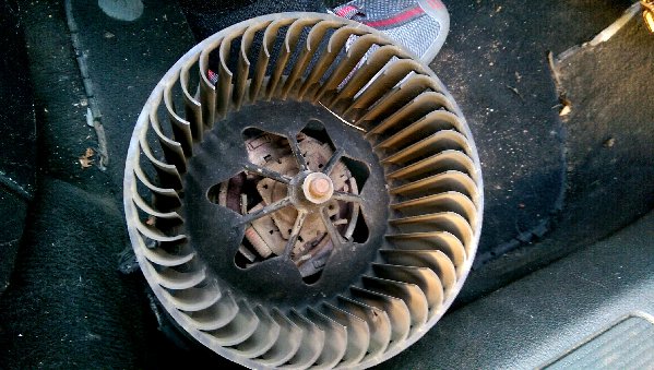 IMAG1054_1.jpg