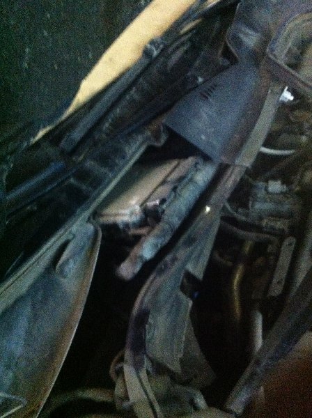 IMG_0048.JPG (1.93 Мб) Просмотров: 1926 IMG_0048.JPG