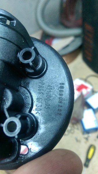 IMAG0793.jpg