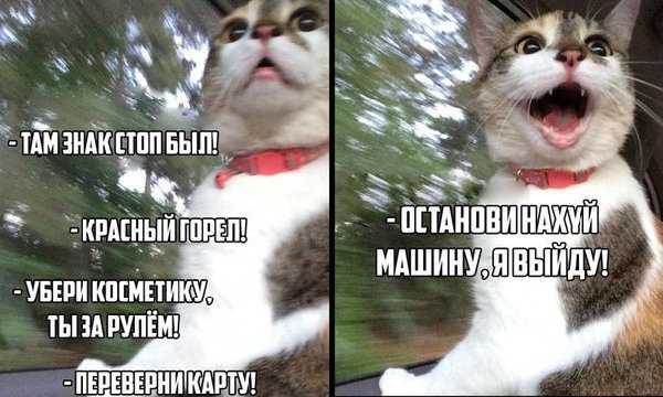 _MaIKFJlCmg.jpg