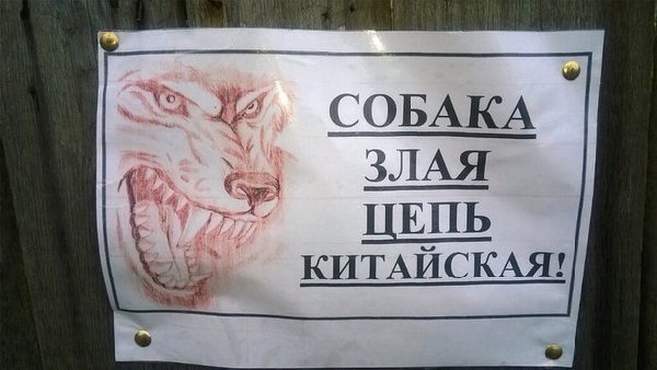 Z0g0zsX-jIk.jpg