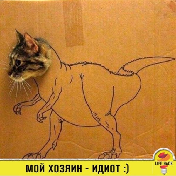 uploadfromtaptalk1435515308745.jpg
