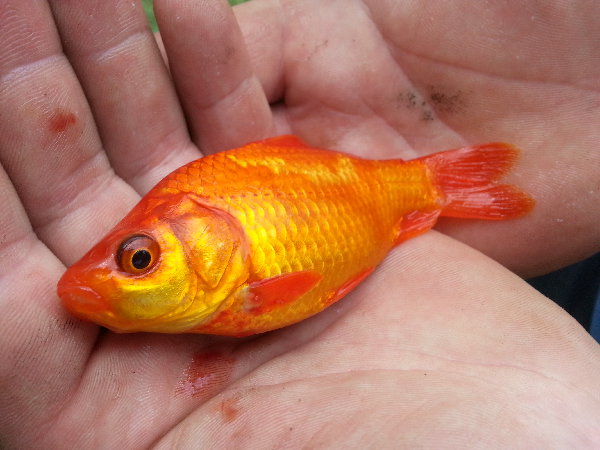 20150628_142242.jpg