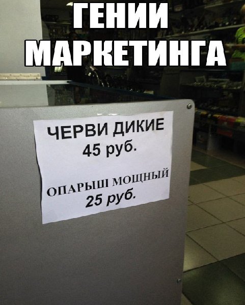 Nqo1xBCZ3x4.jpg