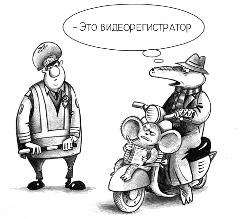 8991161nfv.jpg
