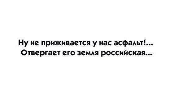 o3yY7WNFEzs.jpg