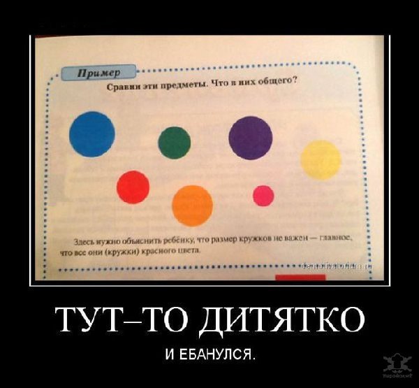 136510774231.jpeg