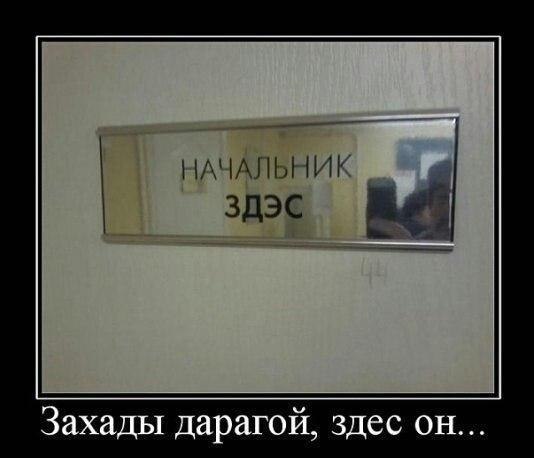 3so5OfkyJ80.jpg