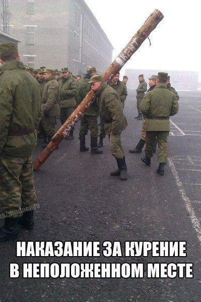 vlSQnGXO454.jpg