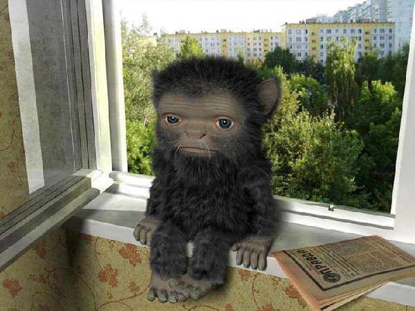 домовой.jpg